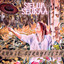 Sielun Seuraa cover