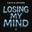 Losing My Mind