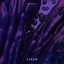 Gaia