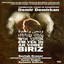 Biriz cover