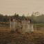 Ane Brun - Visa Vid Midsommartid