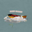 Unknown Title cover