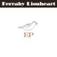 Ferraby Lionheart profile