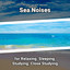 Sea Noises for Relaxing, Sleeping, Studying, Close Studying cover