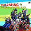 Tailgating cover