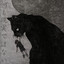 Cover of Hannah by kazar
