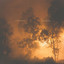 (Wildland Fires) - Ministry of Natural Resources