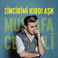 Ayşe cover
