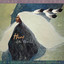 Fog cover