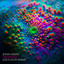 Organism - Zach Zlov Extended Remix