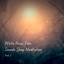 White Noise Rain Sounds Sleep Meditation Vol. 1 cover