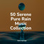 50 Serene Pure Rain Music Collection cover