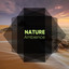 Calming Nature Ambience cover