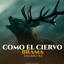 SALMO - COMO EL CIERVO