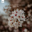 Exploration cover