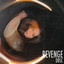 Revenge (DBSC) cover