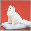 Madcat — Es Vedra cover art