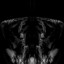 Devil Devil cover