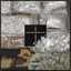Flour City Street Bible cover