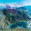 ! ! ! ! 29 Expand Your Brain Power With Ocean ! ! ! ! cover