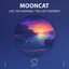Like The Sunshine artwork
