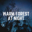 Warm Forest At Night cover