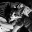 Mornings With Cats cover