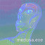 xbbgrl_3000x profile