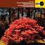 Eck: Violin Concerto in E-Flat Major, Mozart: Violin Concerto No. 3, K. 216 (Christian Ferras Edition, Vol. 8) cover