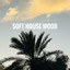 Maksym Tkhoryk - Soft House Mood - Original Lounge Mix