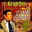 Mis Grandes Exitos cover