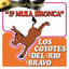 Los Coyotes Del Río Bravo - Fracaso de amor