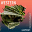 Western Harmony: Rain on the Headland cover