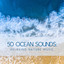 50 Ocean Sounds: Relaxing Nature Music cover