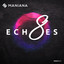 Echoes 8 cover