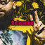 Reloaded cover