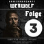 True Crime Geschichten: Kameradschaft Werwolf Folge 3, Pt. 14 cover