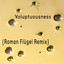 Voluptuousness - Roman Flügel Remix
