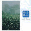 西北雨直直落 The Northwest Rain Is Falling cover