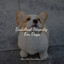 Buddhist Serenity For Dogs cover