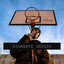 Diamante Grezzo cover