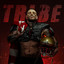 Признак титана cover