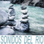 Sonidos del Río cover