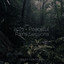 2021 - Peaceful Rains Sessions cover