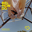 Belmondo cover