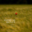 Andreas Hippe - Shadows learn to fade