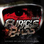 Furious Bass 2013 cover