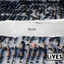 LiVES - Burn