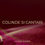 Psalmul 40 cover