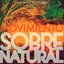 Te Adoro cover